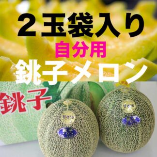 銚子メロン（袋入り）2玉2L3L 自分用