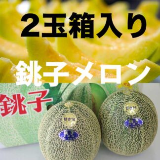 銚子メロン（箱入り）2玉4L